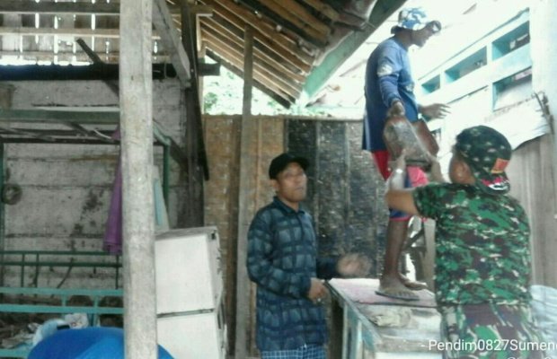 Foto: Babinsa Koramil Raas saat membantu pemasangan genteng milik warga