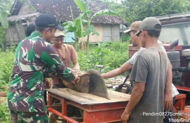 Foto:Babinsa sapeken bantu potong kayu