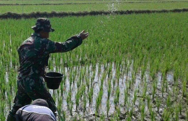 Foto: Babinsa lenteng Bantu Petani Pasang Pupuk