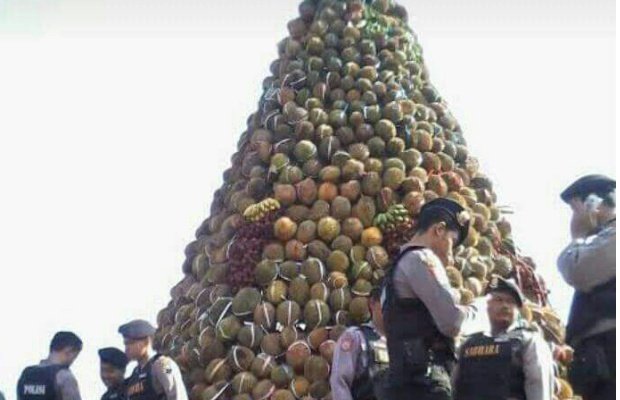 Foto: Gunung durian diacara sedekah bumi di jember