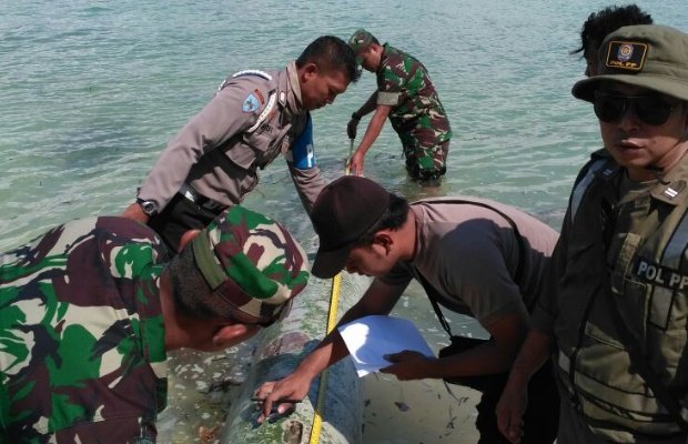 Foto: Petugas saat melakukan pengecekan benda mirip rudal di bibir pantai pulau sepudi
