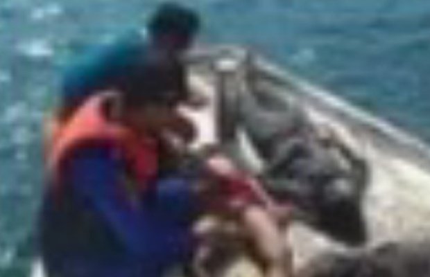 Foto: sejumlah korban KM Arista saat dieavkuasi petugas