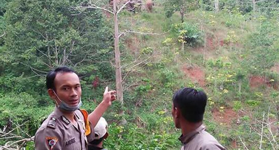Foto: Petugas kepolisian bersama warga saat mengusir gerombolan gajah liar
