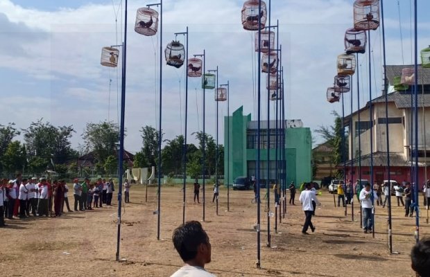 Foto: Suasana Kontes Nasional Ayam Bekisar di Sumenep