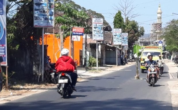 Foto: Pohon pisang ditengah jalan rusak