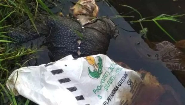 Foto: Penemuan mayat dalam karung 