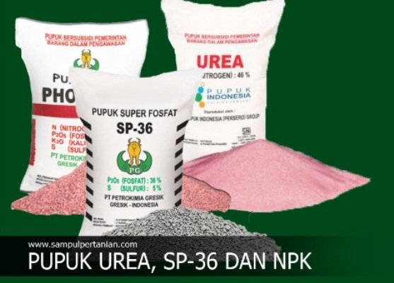 Foto: Ilustrasi Pupuk