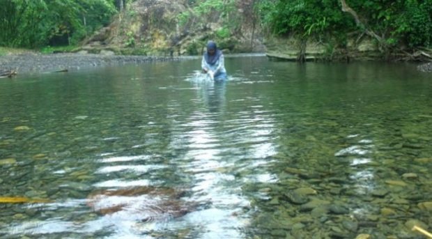 Foto: wisata Bohorok Sumatera Utara (google)