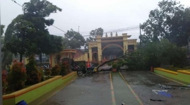 Foto: pohon tumbang akibat puting beliung di sumenep