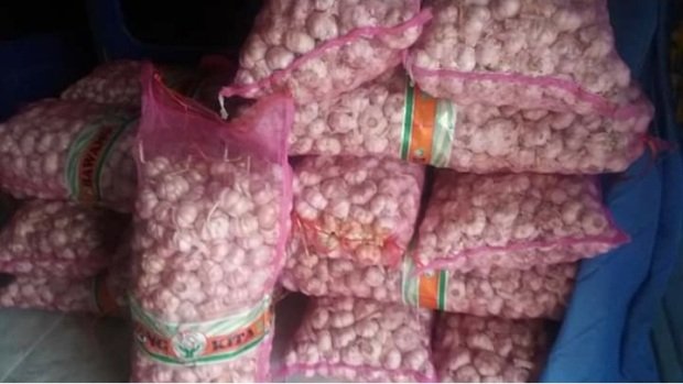 Foto: Ilustrasi bawang putih