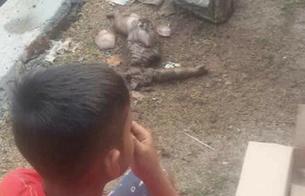 Foto: mayat bayi tak berdosa saat ditemukan di pinggir jalan