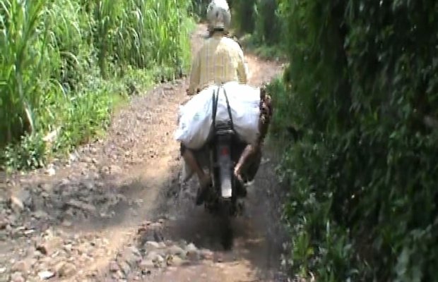 Foto: Nampak warga mengangkut hasil kebun di jalan yang rusak, penuh bebatuan