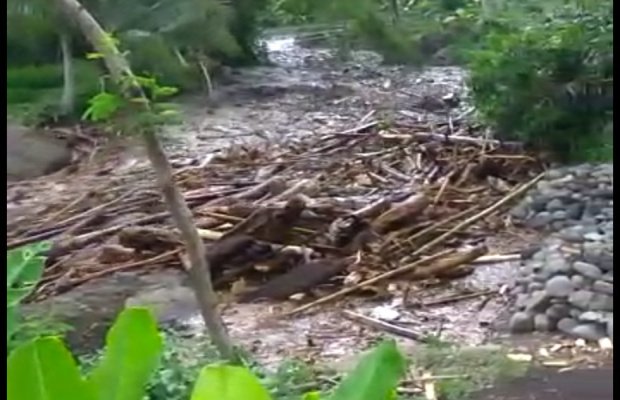 Foto: kondisi air di sungai jompo jember