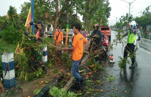 Foto: BPBD Pamekasan, Bersama TNI - POLRI, Dinas Terkait dan Masyarakat saat Evakuasi Pohon Tumbang
