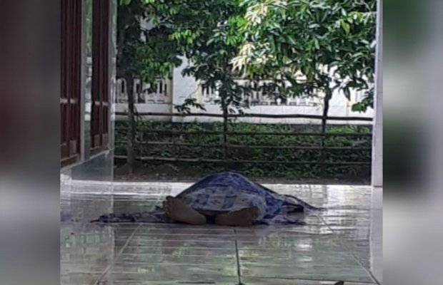 Foto : Korban pohon tumbang di Bangkalan