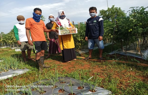 Foto : Ketua Kelompok Tani Sangga Buana Desa Bandang Dajah, Jazi bersama petani saat memanen hasil tanam. 