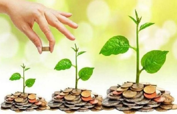 Foto: Ilustrasi gambar investasi