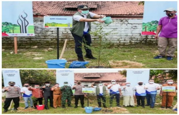 Foto: Bupati Pamekasan, H. Baddrut Tamam Saat Melakukan Penanaman Pohon Katatapang Di Pompes