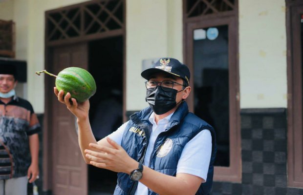 Foto: Bupati Pamekasan Tunjukkan Alpukat Jumbo Hasil Budi Daya Pemdes Kelompang Timur