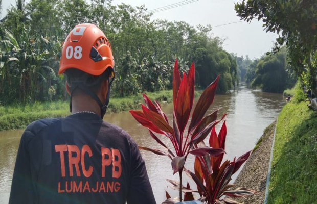 Foto: Petugas TRC PB Lumajang mengamati aliran sungai. 
