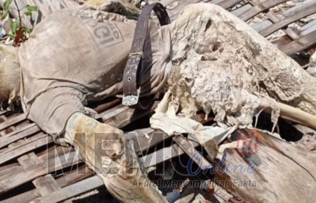  Foto : Mayat tanpa identitas ditemukan di Pulau Mandangin Sampang