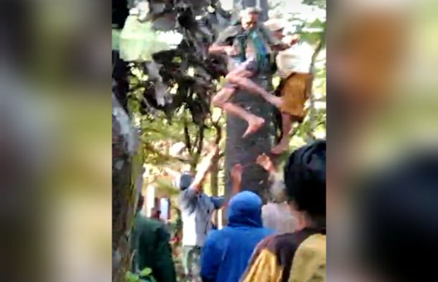 Foto: Korban saat dievakuasi menggunakan tali tampar dari atas pohon siwalan