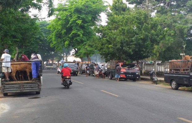 Foto: Sejumlah pedagang berjejer di Jl. Merpati sebelum masuk pasar hewan peluk