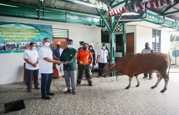 Foto: Sapi bantuan Danrem 172/PWY