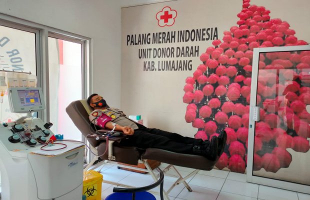 Foto : Kapolres Lumajang saat mendonor darahnya