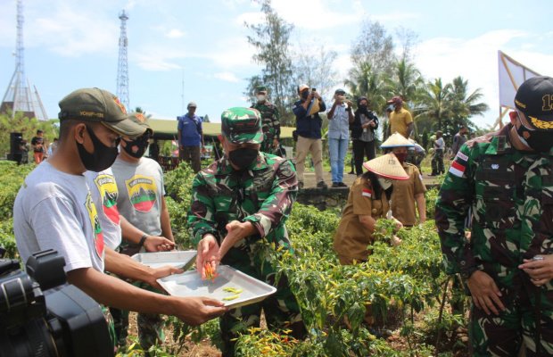 Foto: Panen sayur dan buah
