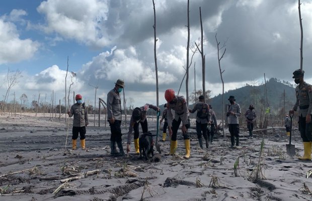 Foto: Proses pencarian korban jenazah erupsi gunung semeru