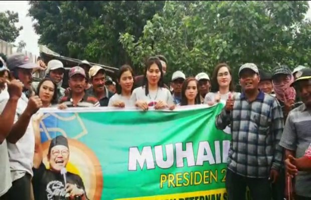 Foto : Paguyuban pedagang sapi pasar patok Lumajang
