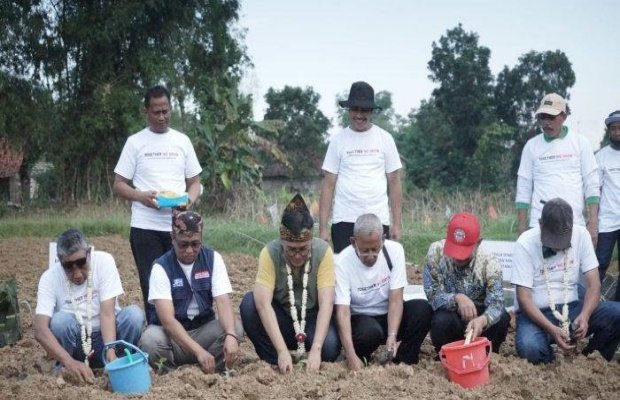Foto : Bupati Pamekasan, Baddrut Tamam (tengah) saat menanam tembakau bersama DPN Asosiasi Petani Tembakau Indonesia.