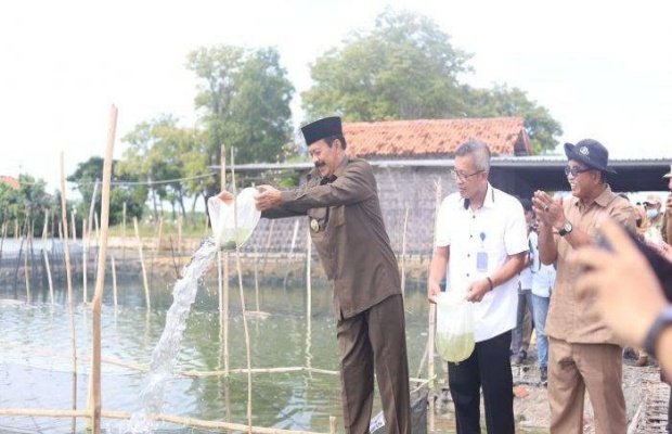 Foto : Wakil Bupati Pamekasan Fattah Jasin saat melepas bibit ikan kerapu di Desa Lembung, Galis, Pamekasan.