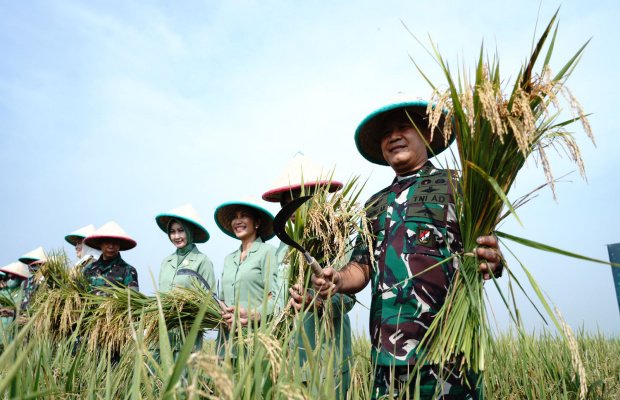 Foto: Jenderal Dudung Panen Raya di Karawang 