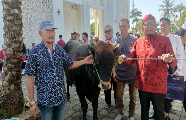 Foto: Bupati Sumenep, Ach. Fauzi yang sekaligus Ketua DPC PDI Perjuangan saat menyerahkan hewan kurban