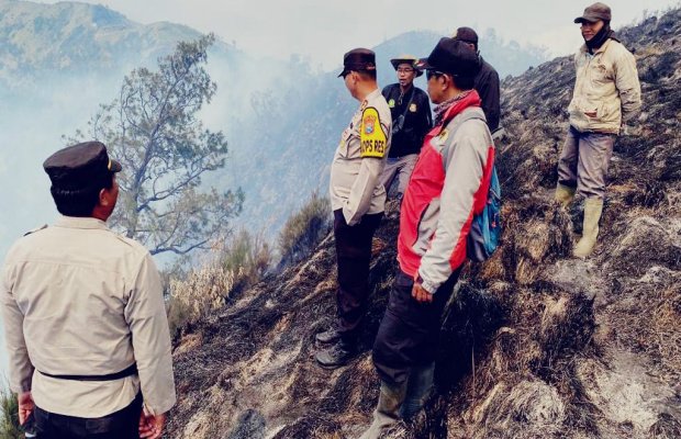 Foto : suasana saat petugas berada di kawasan TNBTS Desa Argosari Lumajang