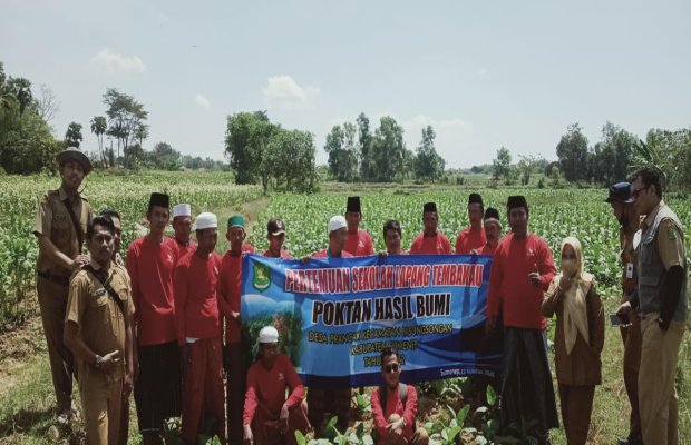 Foto: Petugas DKPP bersama para petani, di Desa Perancak, kecamatan Pasongsongan