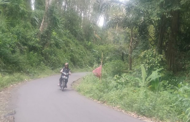 Foto: Jalan tanjakan di Dusun Tetelan, Desa Seputih-Mayang terkahir ada korban