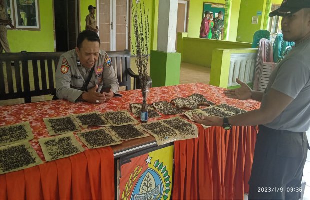 Foto: Bukti lalat saat di tunjukkan di depan Pemdes Sukosari. 