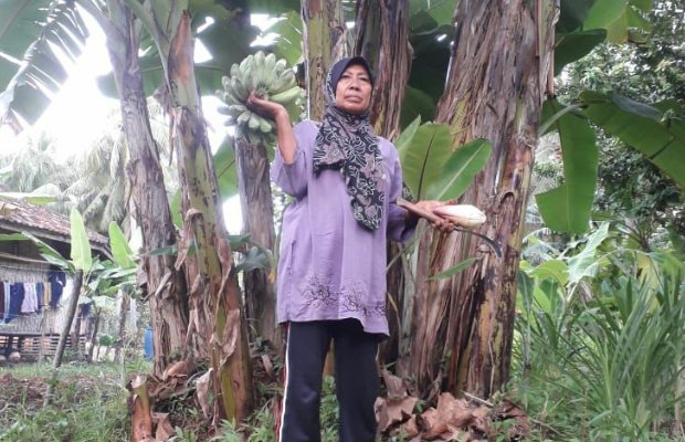 Foto: Salah seorang warga Desa Sukajeruk Masalembu Sumenep memilih memenuhi kebutuhan pokok dengan mengkonsumsi hasil panen sendiri
