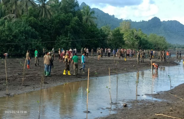 Foto : suasana saat penanaman