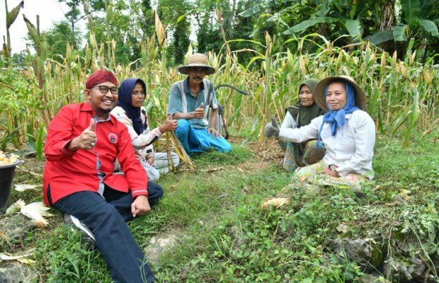 Foto: Bupati Sumenep Achmad Fauzi Wongsojudo saat menyapa para petani