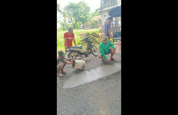 Foto: Suasana Perbaikan Jalan Berlubang dengan Biaya Pribadi