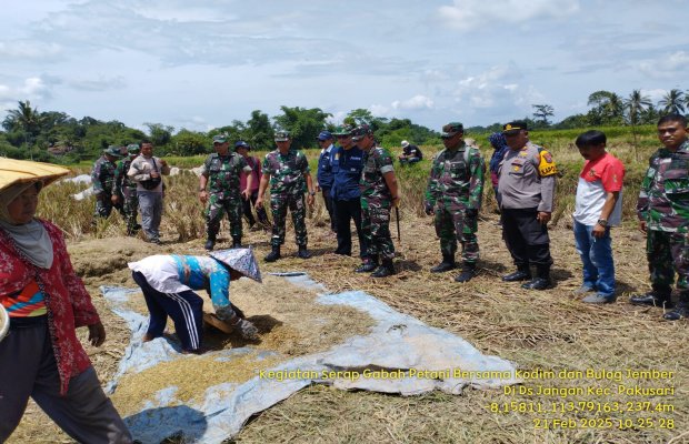 Foto: Kegiatan peninjauan panen padi di Poktan karya tani-4 desa jatian