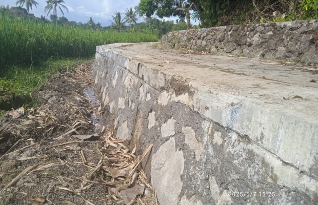 Foto: Proyek TPT di Desa Sumber pinang, Kecamatan Pakusari, Jember, Jatim.