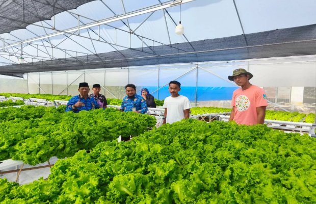 Foto: Kunjungan Kepala DKPP Sumenep ke Green House Petani Muda Millenial Sumenep
