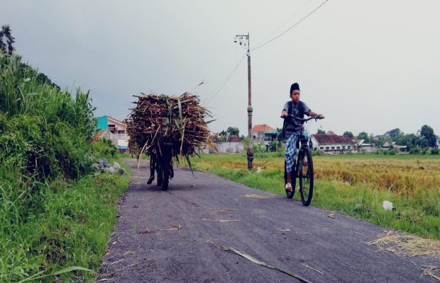 Foto : Akses pertanian di Dusun Krajan Desa Babakan Kecamatan Padang Kabupaten Lumajang