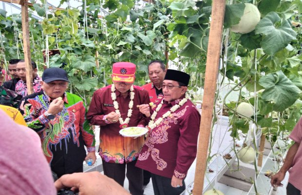 Foto: Peresmian Kawasan Smart Farming Hortikultura di Desa Kasengan 