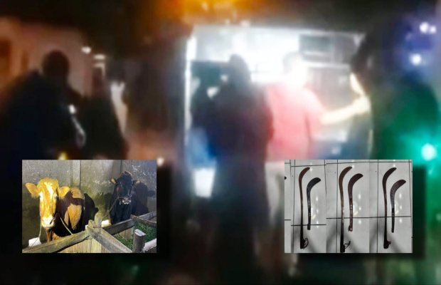 Foto : Background, suasana penangkapan ke lima terduga pelaku